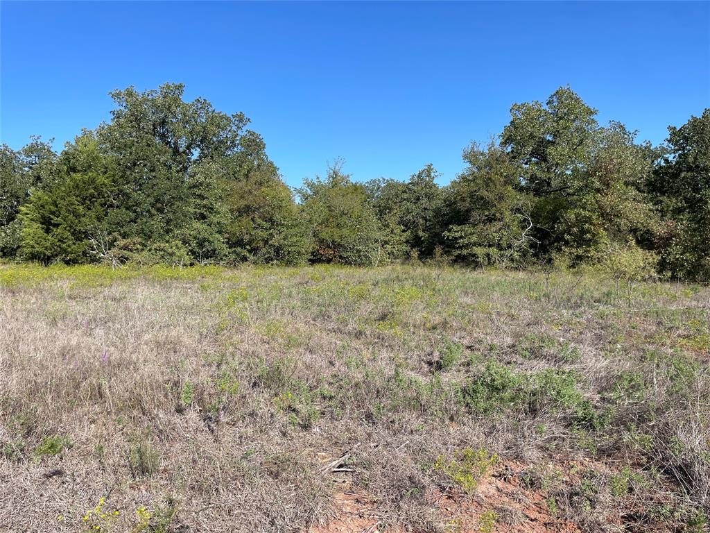Mesquite Ridge Estates - Land