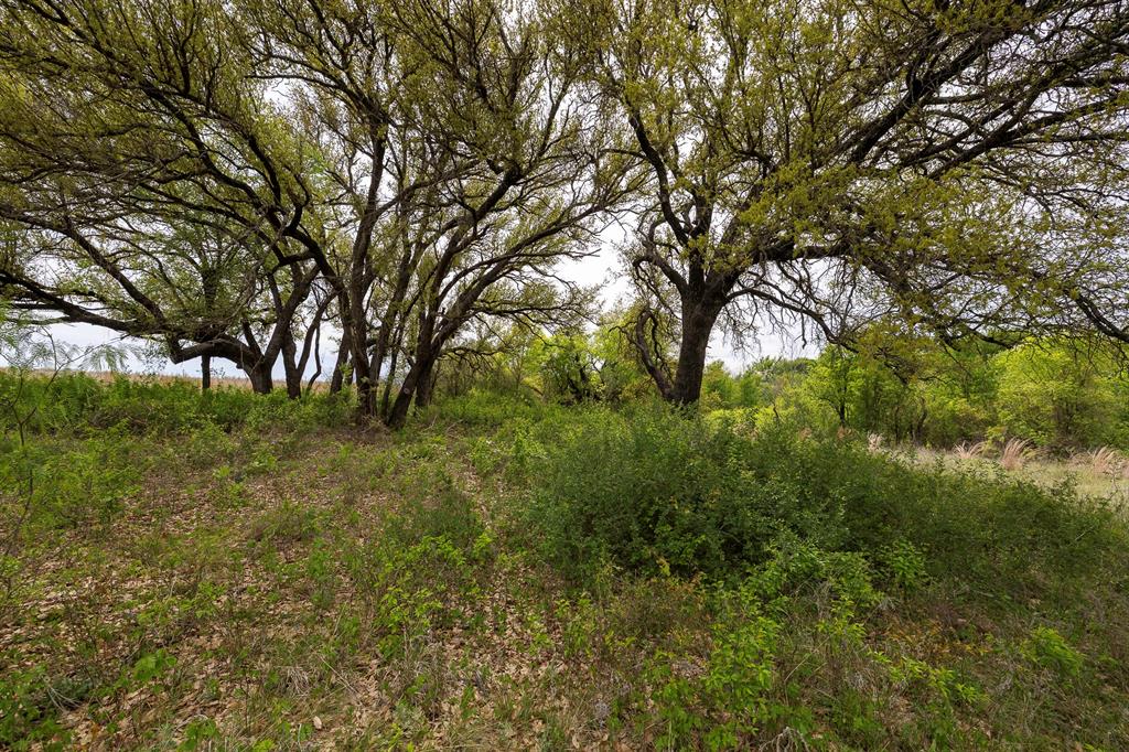 The Ranches at Deer Crossing - Land