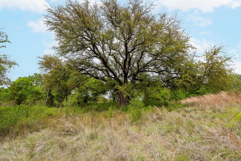 The Ranches at Deer Crossing - Land