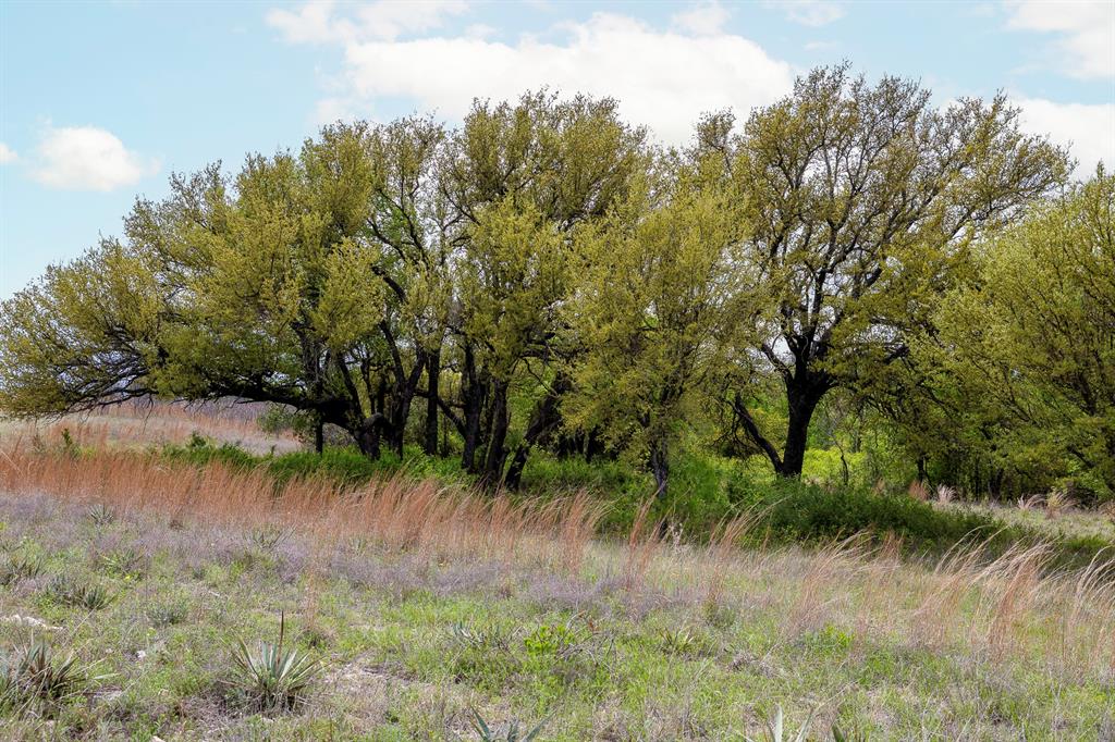 The Ranches at Deer Crossing - Land