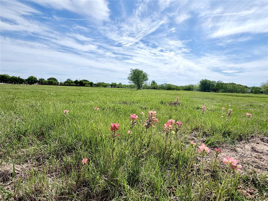 Situated inside the city limits of Whitney, Lot 3 offers 1.079 acres with an open field and a few scattered trees for natural character. Located in the gated Lakewood Acres subdivision with a chip sealed private road, City of Whitney water, and underground electric. Deed restrictions mirror city regulations. Enjoy peaceful surroundings with deer and birds while remaining centrally located near Whitney conveniences.