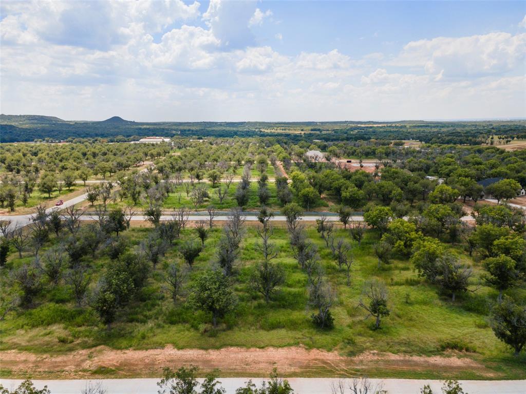 Pecan Plantation - Land