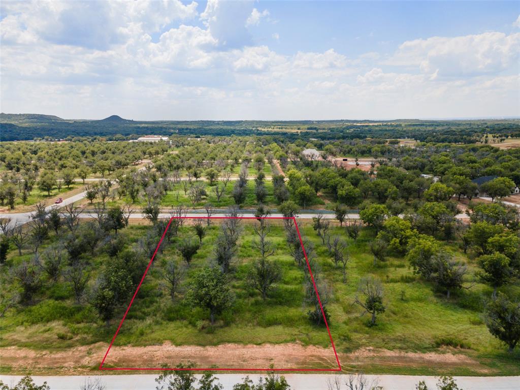 Pecan Plantation - Land