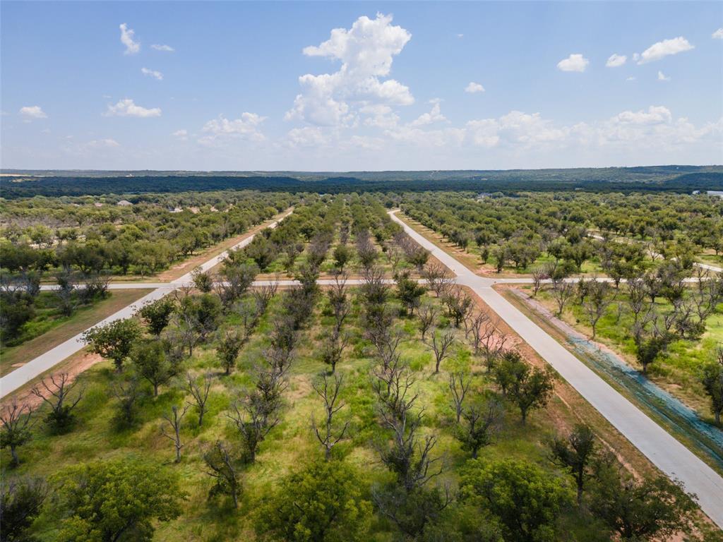 Pecan Plantation - Land