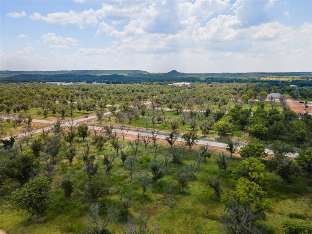 Pecan Plantation - Land