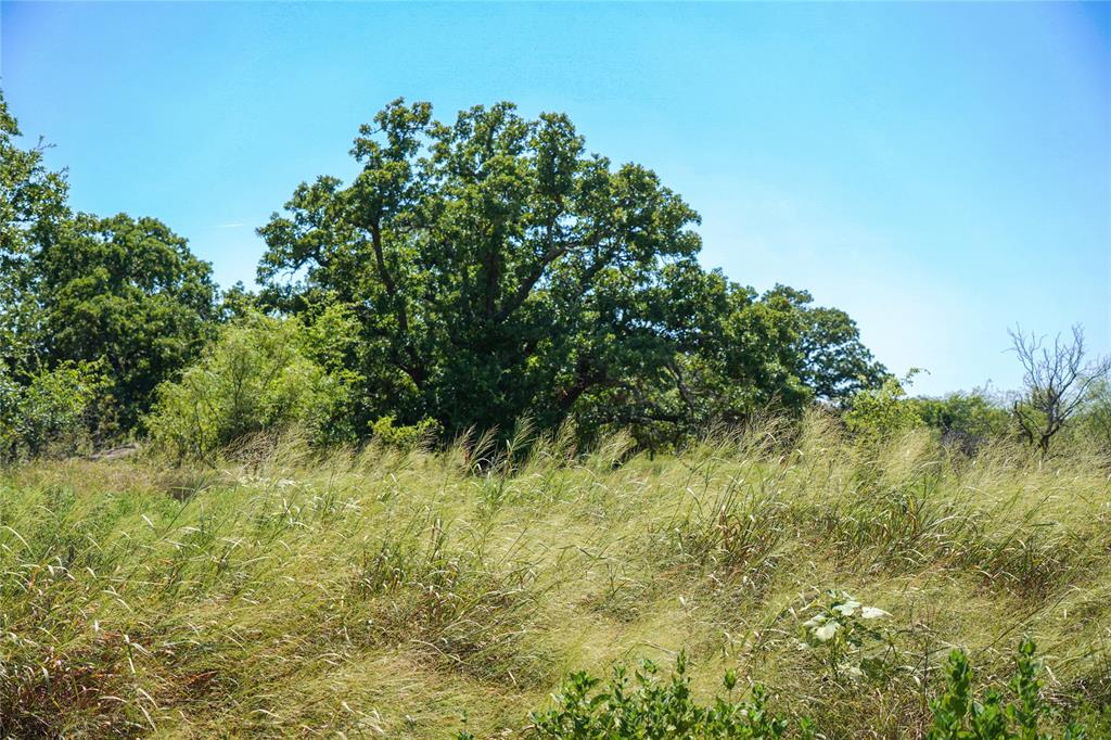 Jacksboro - Land