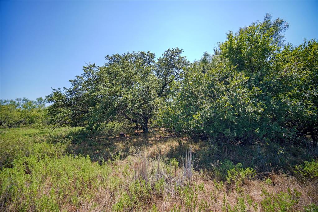 Jacksboro - Land