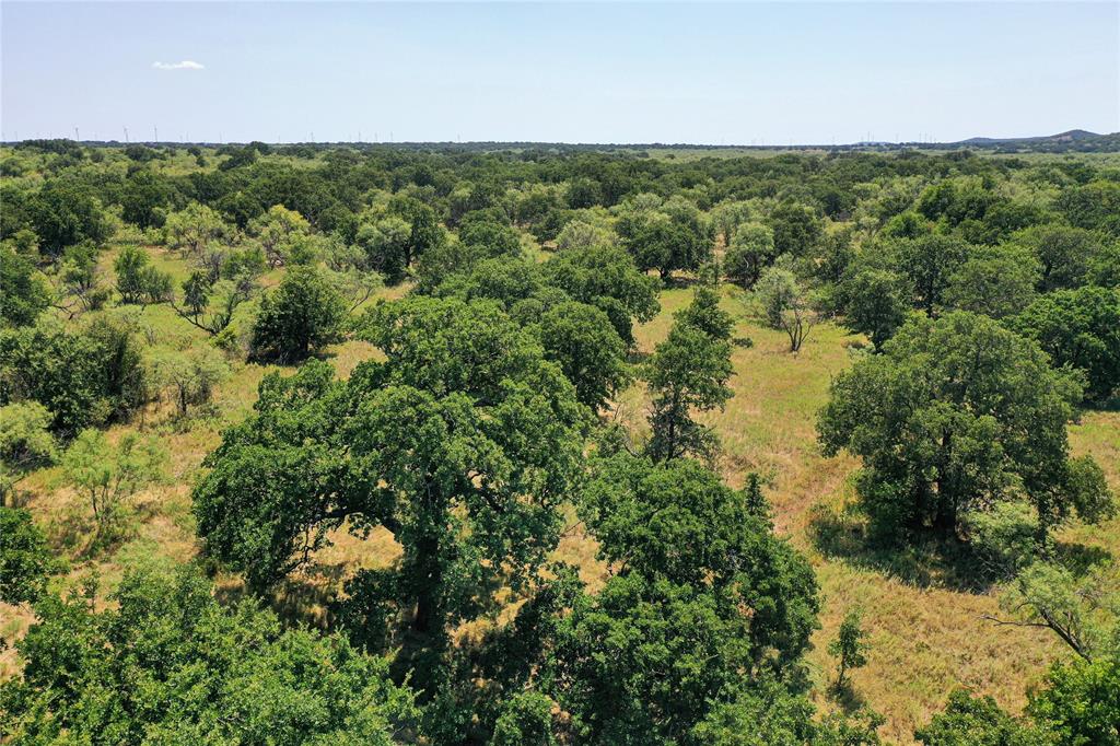 Jacksboro - Land