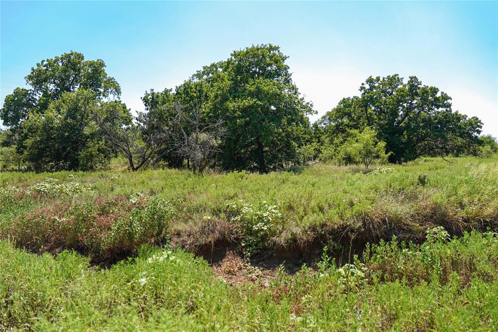 Jacksboro - Land