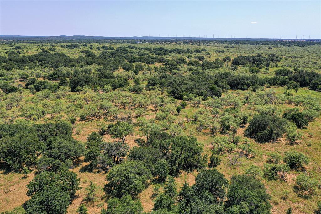 Jacksboro - Land