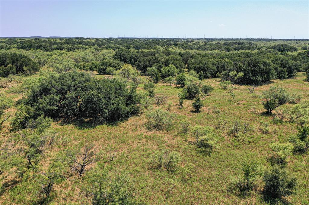 Jacksboro - Land