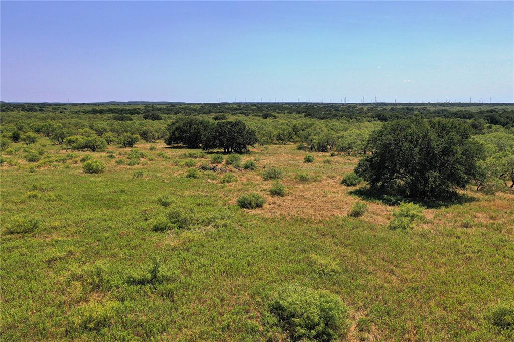 Jacksboro - Land