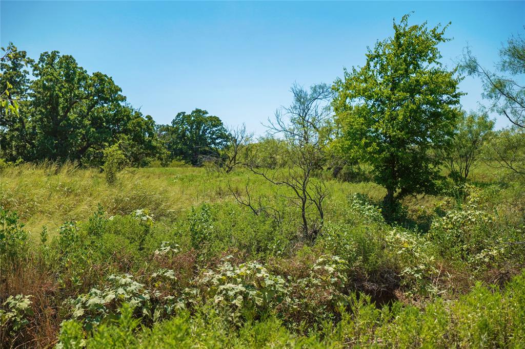 Jacksboro - Land