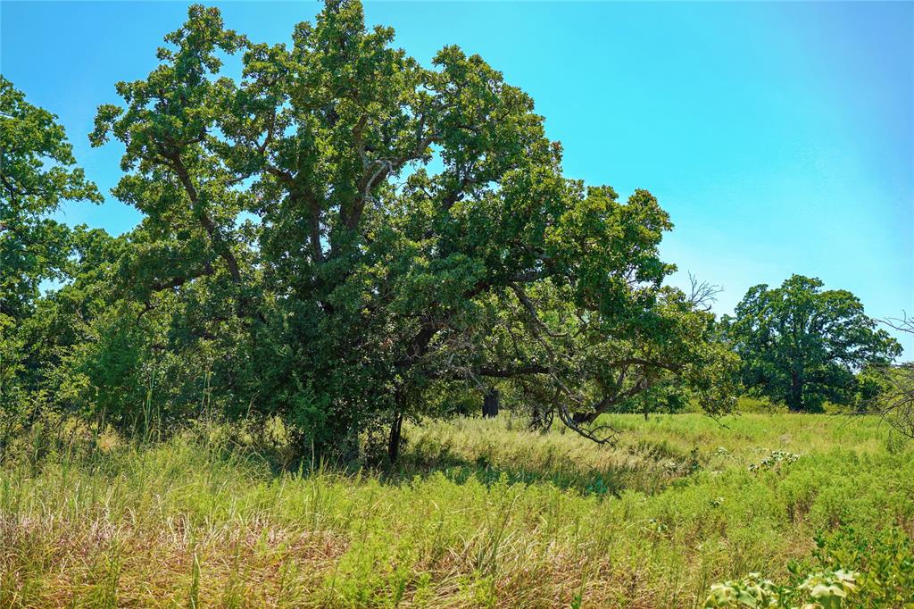Jacksboro - Land