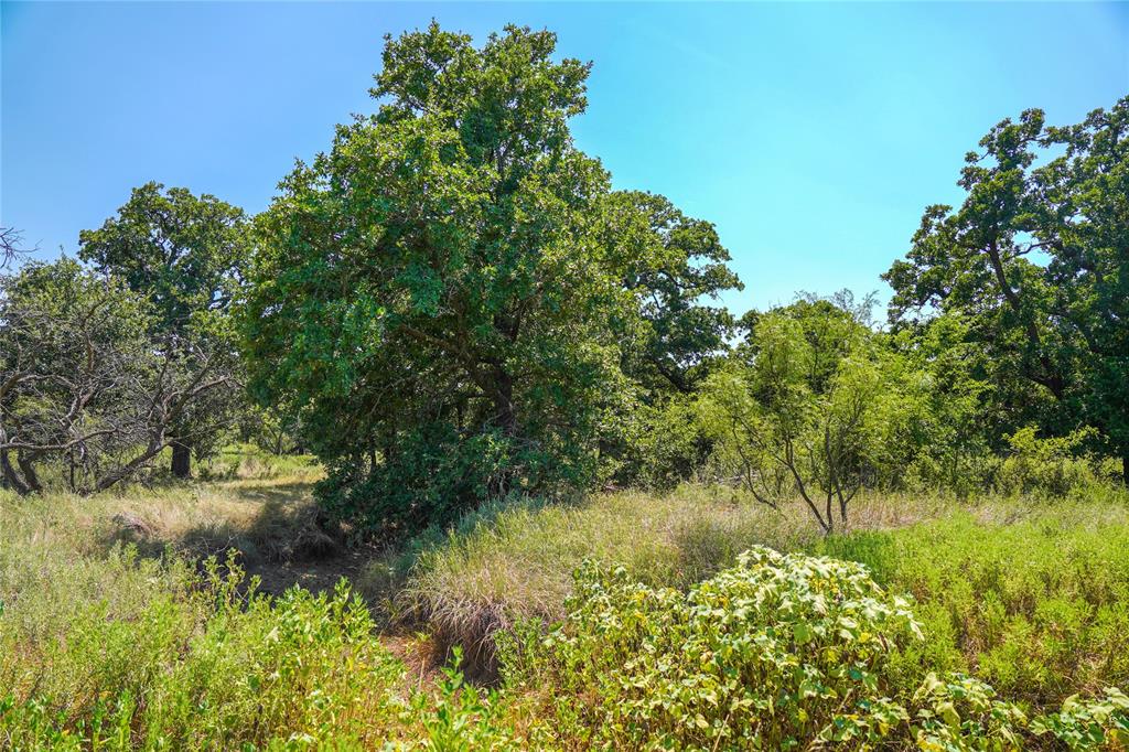 Jacksboro - Land
