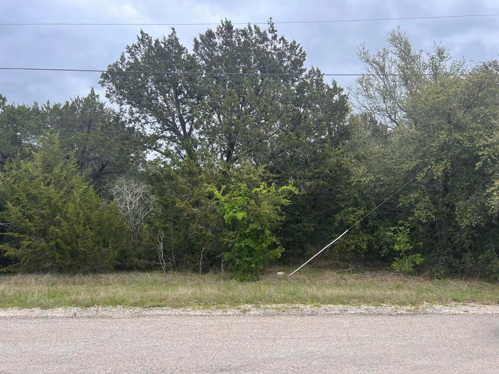 Discover the perfect canvas for your dream home in the desirable neighborhood of White Bluff! This expansive and beautifully situated parcel offers endless possibilities, nestled in a peaceful setting with natural surroundings that provide both privacy and tranquility. Located in a highly sought-after area, this generous lot gives you easy access to all the incredible amenities White Bluff has to offer, including two golf courses, a full-service marina, swimming pools, tennis courts, playgrounds, a fitness center, and multiple dining options. Whether you're planning to build your forever home or a relaxing weekend retreat, this is truly an opportunity you don't want to miss.