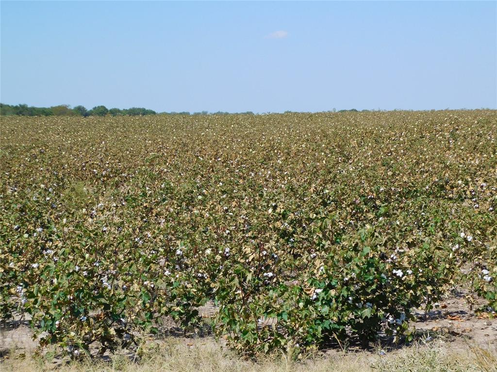 S Cook AB 157 ,S Cook AB125, J Lecompt Survey AB48 - Land