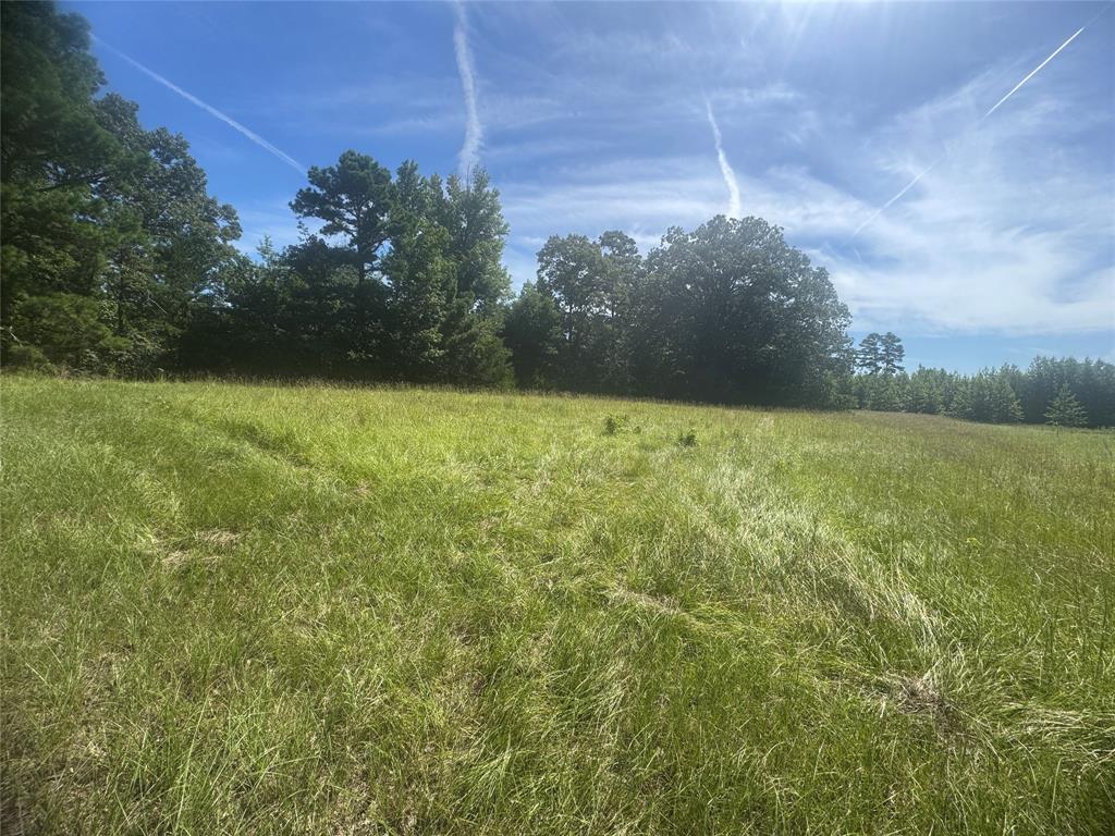 Winnsboro - Land