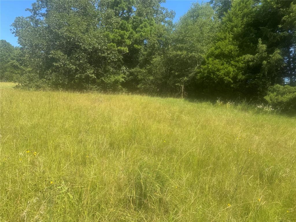 Winnsboro - Land
