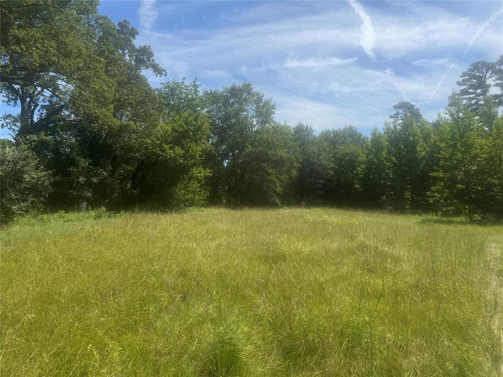 Winnsboro - Land