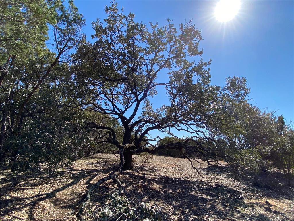 Hills Above Possum Kingdom Lak - Land