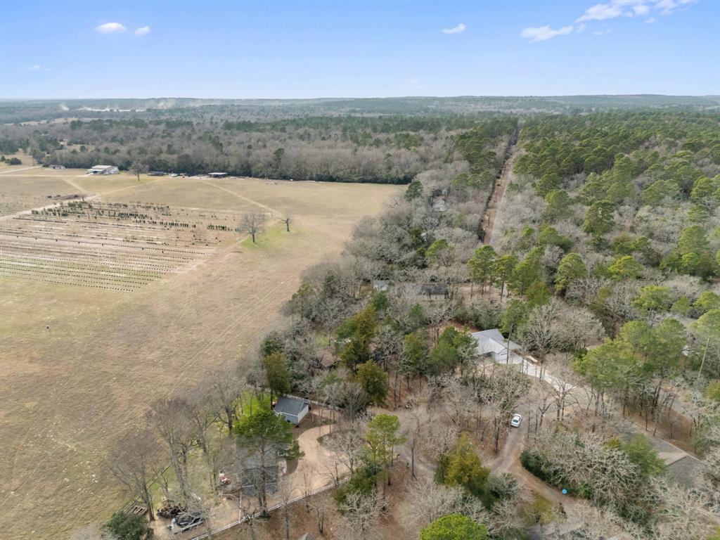 Holly Lake Ranch - Residential