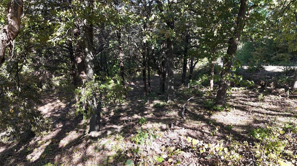 Tanglewood Hills Ctry Cl 10-15 - Land