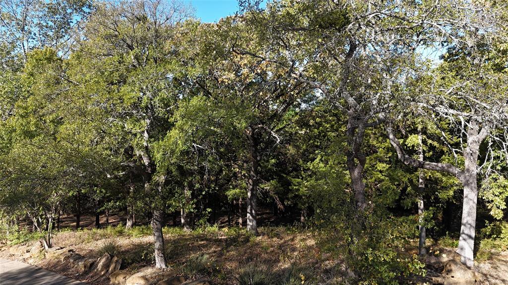 Tanglewood Hills Ctry Cl 10-15 - Land