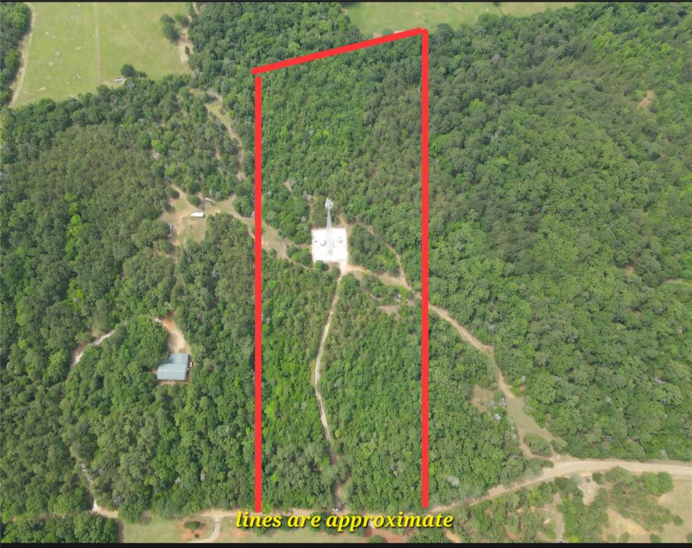 Escape to the beauty and freedom of East Texas with this incredible 16± acre tract in Ben Wheeler. Heavily wooded and teeming with wildlife, this property offers the kind of privacy and natural beauty that is becoming increasingly difficult to find. Whether you're an avid hunter, outdoor enthusiast, investor, or someone looking for the perfect place to build a dream home or weekend retreat, this land is packed with opportunity. The dense timber creates an ideal habitat for deer and other native wildlife, making it a hunter's paradise and a peaceful escape from the hustle and bustle of everyday life. With no known restrictions and mobile homes allowed, you have the flexibility to use the property however you choose. Water and electricity are available at the road, providing added convenience for future development. A cell tower currently occupies a small portion of the acreage, offering a unique asset and valuable negotiating leverage, while leaving plenty of room to enjoy and develop the remainder of the property. Whether you envision a private homestead, recreational getaway, hunting camp, or long-term investment, this versatile tract offers endless possibilities. Properties with this much freedom, privacy, and potential are becoming increasingly sought after—come take a look and see everything this remarkable Ben Wheeler property has to offer.
