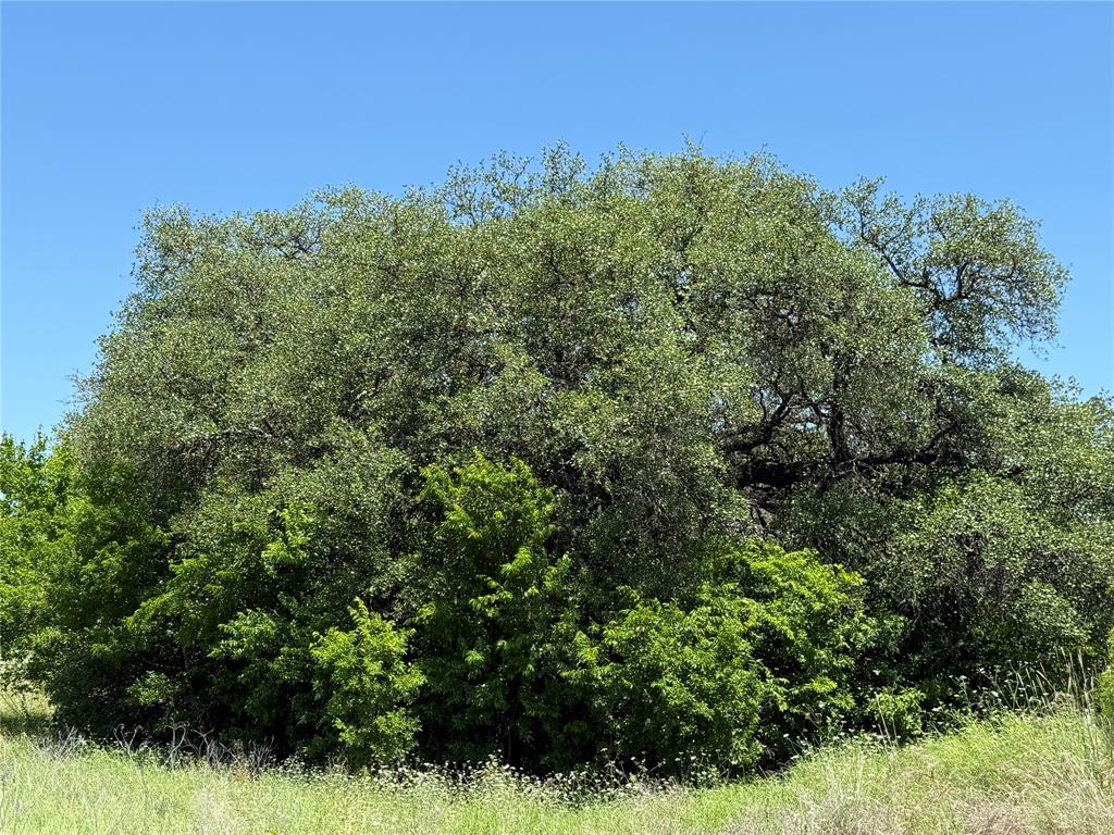 Cox-Weaver Add - Land