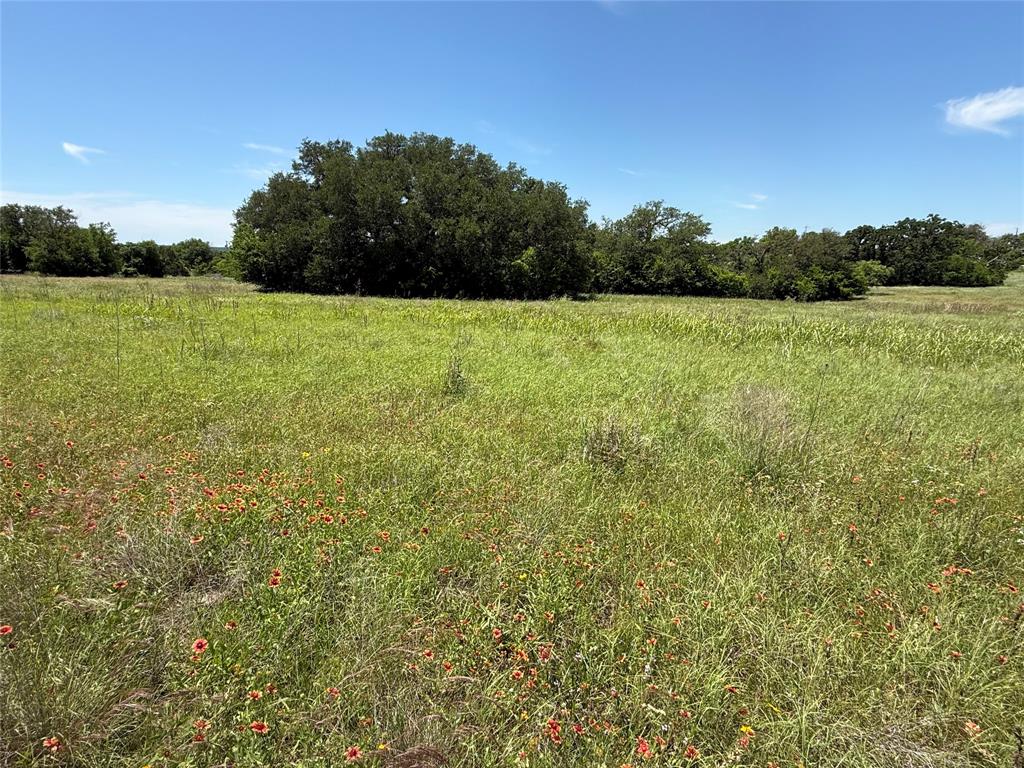 Cox-Weaver Add - Land