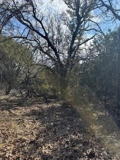 White Bluff #21 - Land