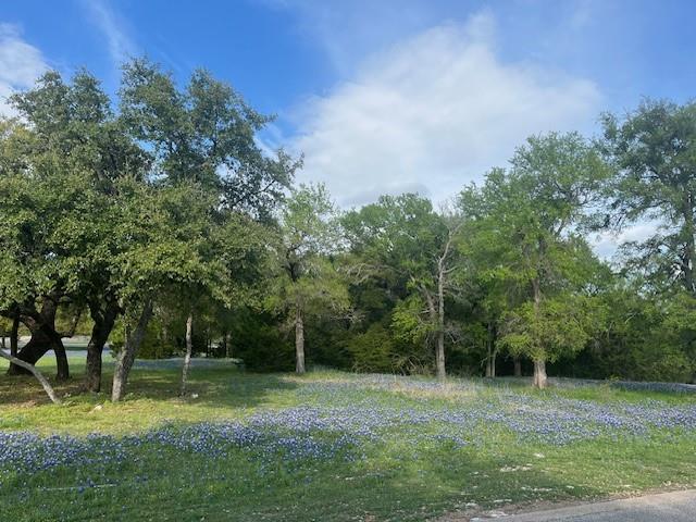 White Bluff #21 - Land