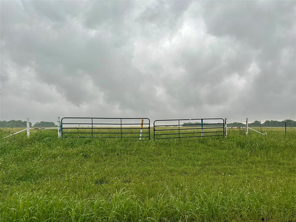 School Land Surv Abs #442 - Land
