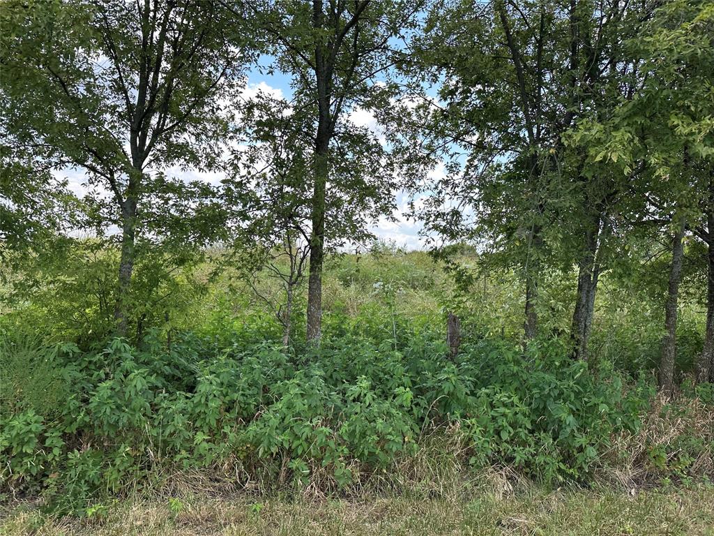 Whitewright Ranch Estates - Land