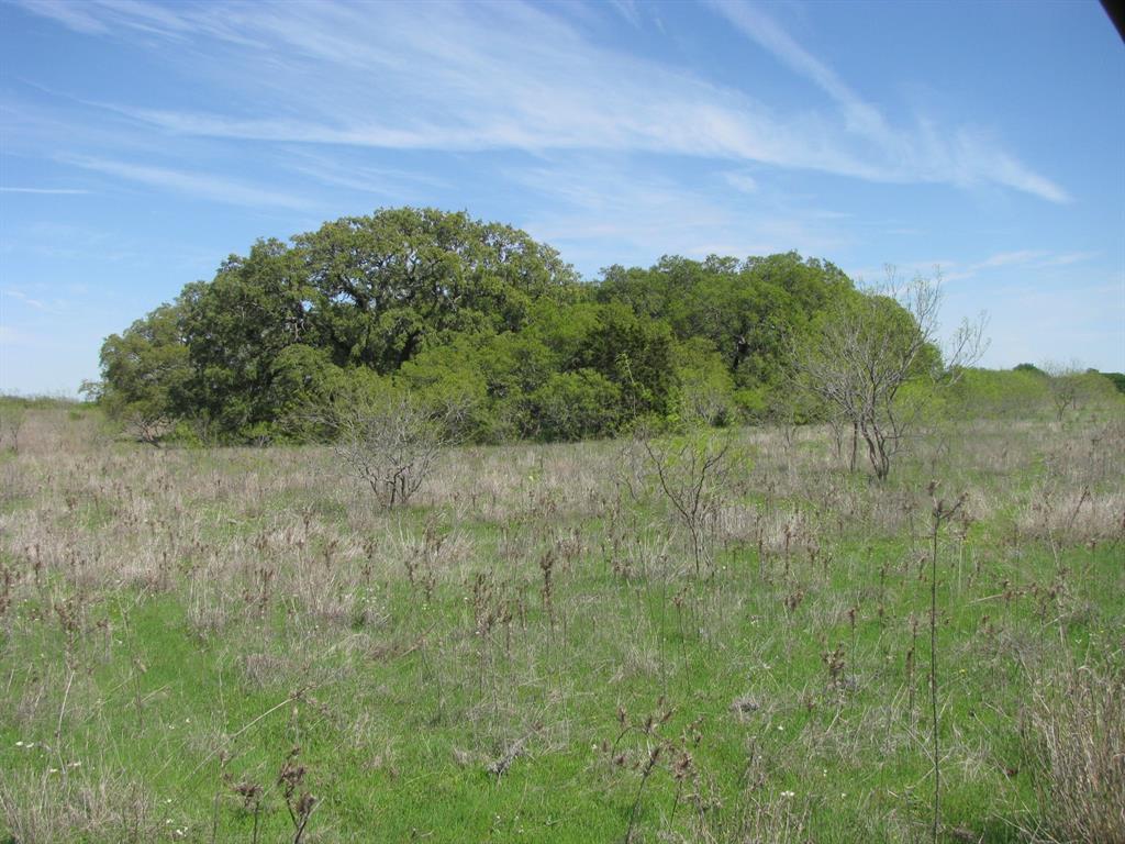 J P House - Farm