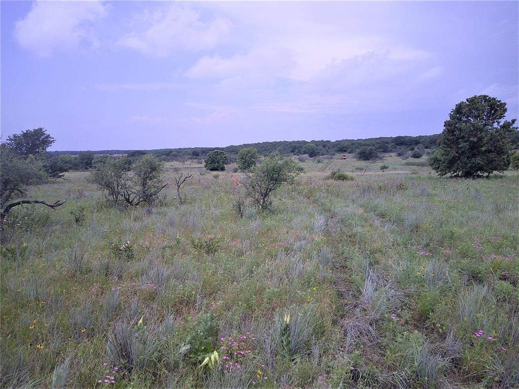 Yes you can own a piece of Texas with Minerals!! What a beautiful 25 ac tract of land overloooking the north Texas hill country with mature oaks, elevation changes,  and plenty of wildlife. The perfect recreational tract of land to call home with minimal restrictions, no mobiles, no mfg homes, site built only. Come out and pick the tract of land that suits you best. Electricity available, in area of good water wells, property under ag for low taxes and just a short drive back to town. Look at plat in pictures of other tracts available.Partial minerals do convey!