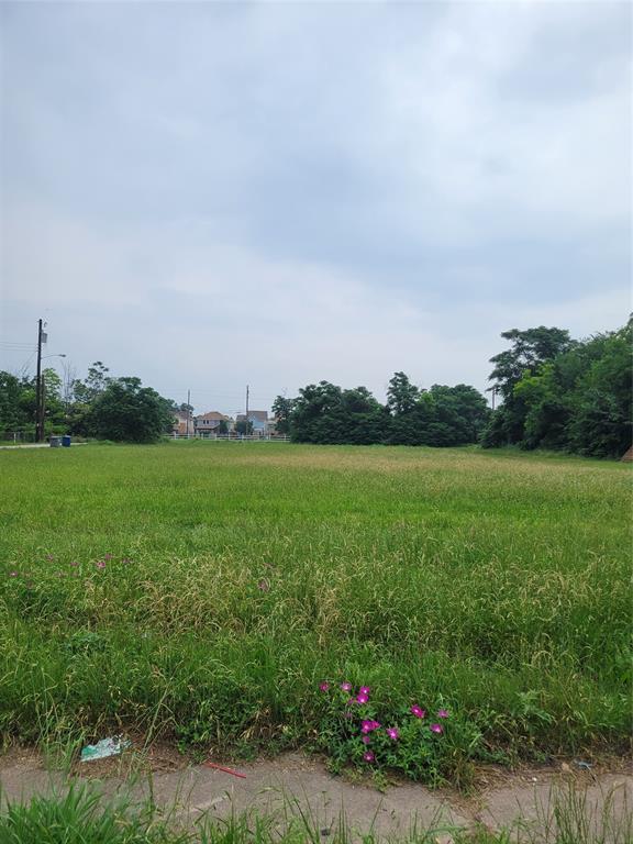 T L Camps - Land