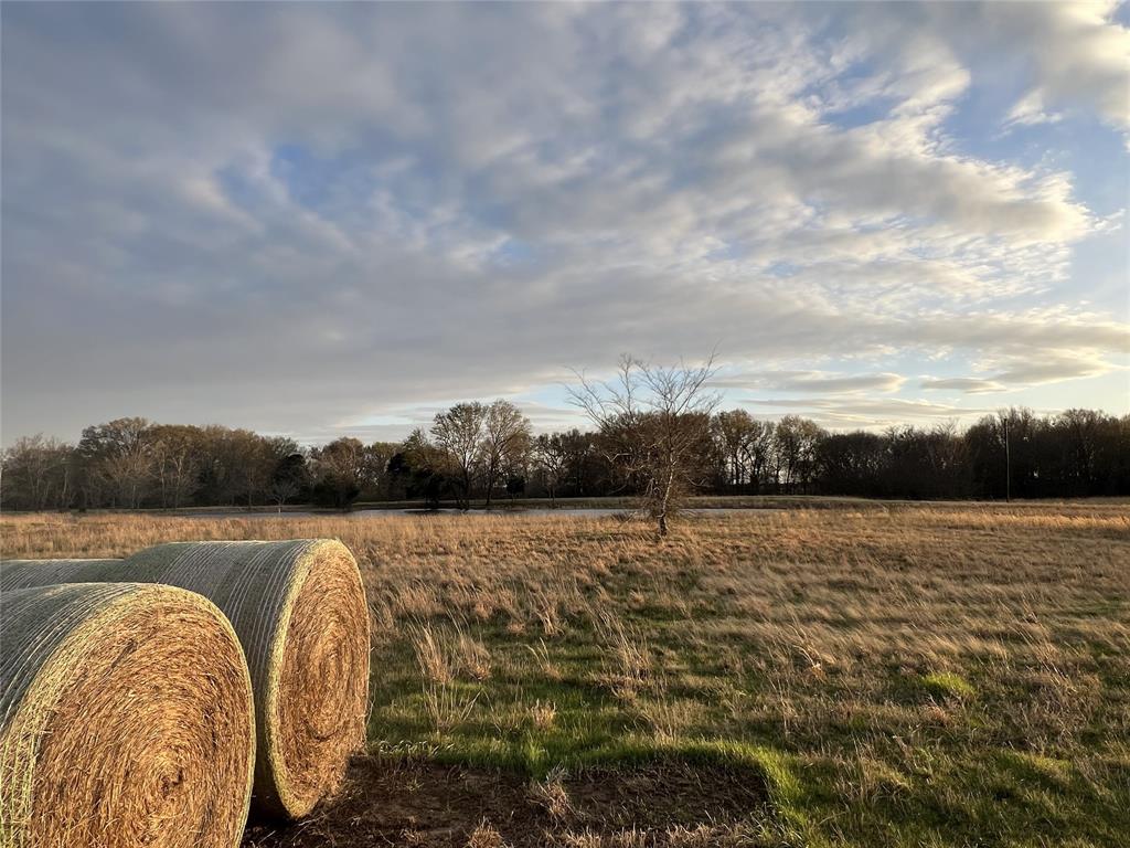 Wills Point - Land