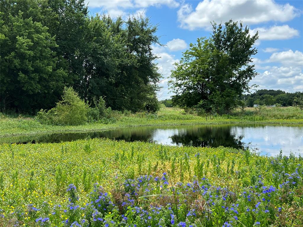 Amazing opportunity to build your dream home on this gorgeous 50 acre lot located just minutes from the heart of Wills Point and only 3 minutes from beautiful Lake Tawkoni! Electric and water are in place and available on the property. 2 beautiful ponds and 2 creeks on the land. Currently zoned AG. Entirely enclosed with barbed wire fencing. New residential development going in across the road. Great opprtunity for an investor or developer to build or open an amazing RV park!