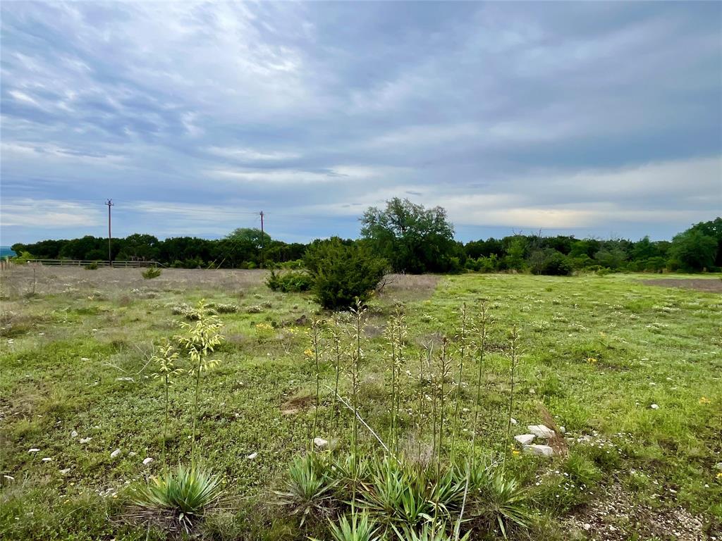 A01065 - Land
