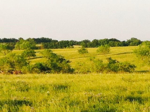 R Pena - Farm