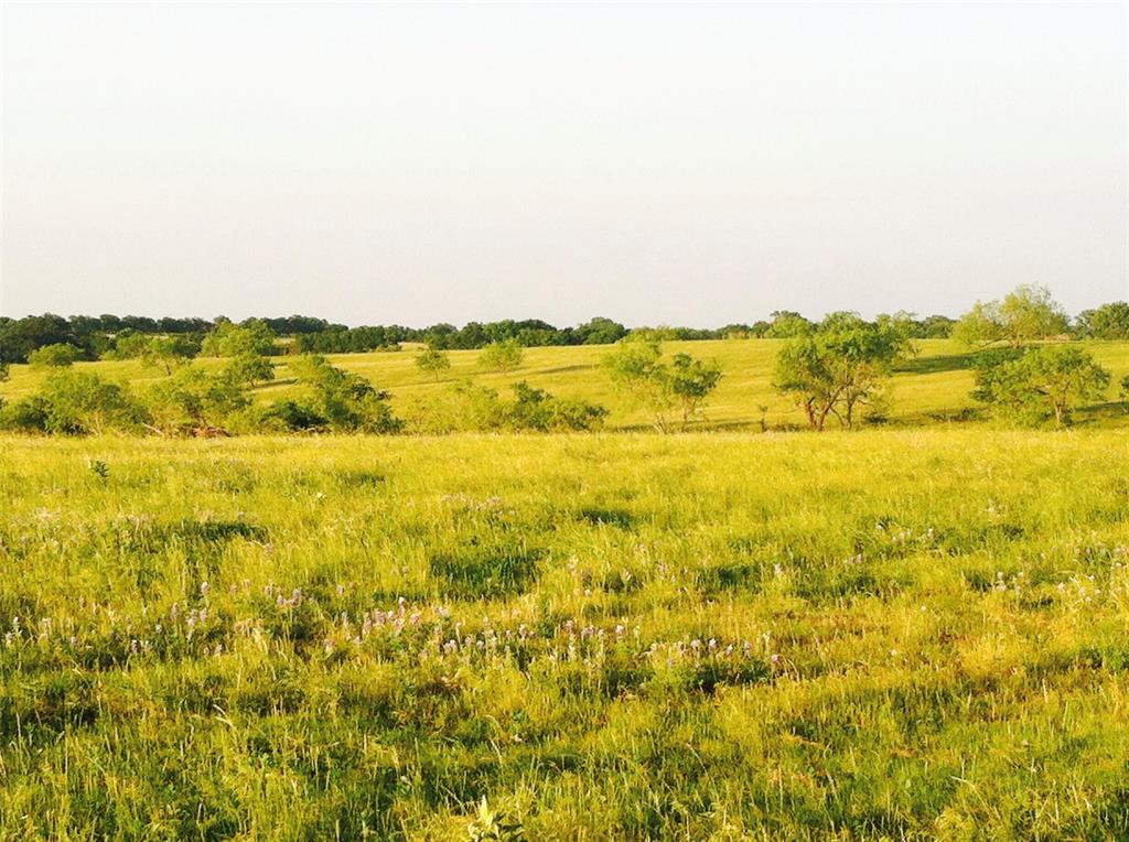 R Pena - Farm