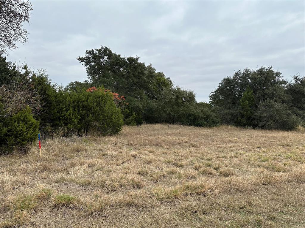 Discover the potential of building your dream home on this beautiful .69 acre undeveloped lot, located in the prestigious gated community of The Retreat in Cleburne, Texas. Nestled amidst rolling hills and scenic views, this lot offers the perfect canvas to design a home that suits your vision, all while enjoying the tranquility of resort-style living.  Residents enjoy exclusive access to world-class amenities, including an 18-hole championship golf course, a resort-style swimming pool, a state-of-the-art fitness center, tennis courts, hiking and biking trails, and a luxurious clubhouse featuring a full-service restaurant and bar.  Situated about 30 minutes from Fort Worth, The Retreat offers the perfect blend of peaceful countryside living and urban convenience. Whether you envision a primary residence or a weekend getaway, this lot provides a rare opportunity to own a piece of paradise in one of Texas’s most sought-after communities. Owner does not have a survey for property, so this will be at the buyers expense to obtain. In order to abide by the Community Covenants and Restrictions there are red and blue stakes to help identify the lot discretely. Please find the CCR, The Retreat building packet, and approved builders attached in the Transaction Desk. Pictures will be posted tomorrow.