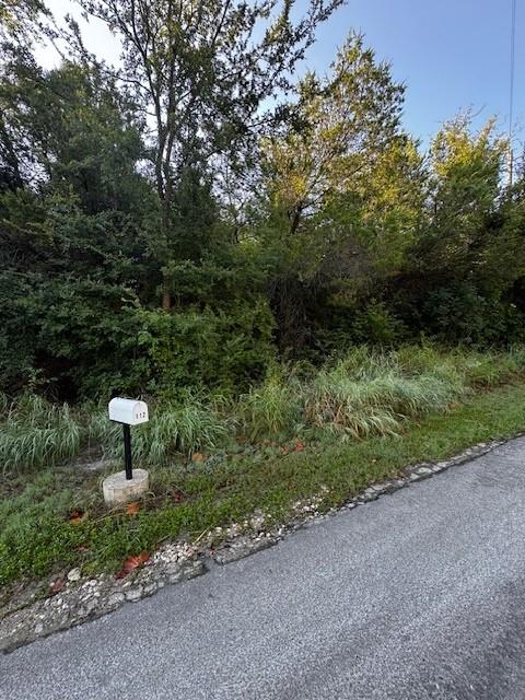 Don't miss this rare chance to own land just steps from the beautiful Brazos River! This unimproved lot offers breathtaking views of the water and surrounding landscape, making lt the perfect canvas for your dream getaway, future home site, or recreational retreat.
With its dramatic elevation , the property provides stunning vantage points and the potential for a truly one-of-a-kind build.                       Imagine          enjoying a delightful morning coffee while overlooking the river, or designing a home that takes full advantage of the natural rise and panoramic scenery.

If you've been looking for a sliceof Texas beauty with river access nearby, thid id it. Peaceful, private, and full of potential --- opportunities like this don,t come aalong often!