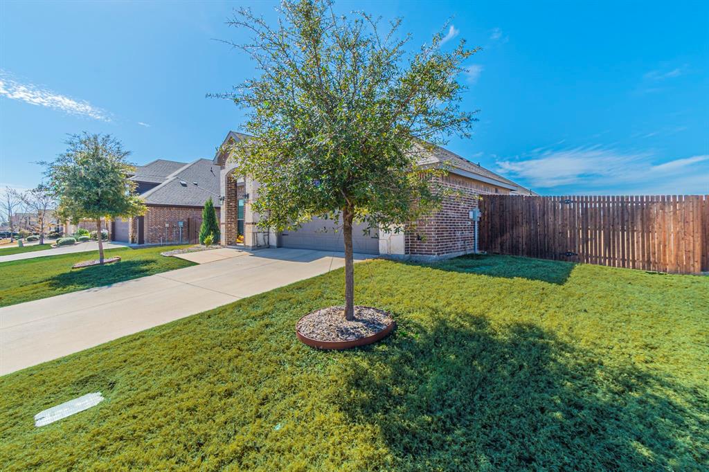 Maplewood - Residential