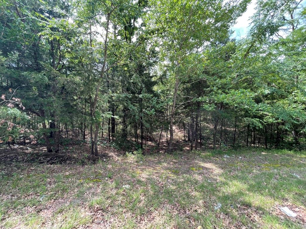 CHEROKEE SHORES - Land