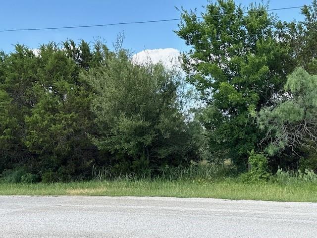 White Bluff #34 - Land