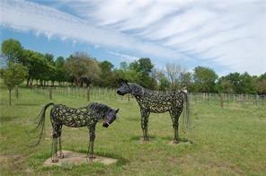 Summit Oaks Ranch Phase1 - Land