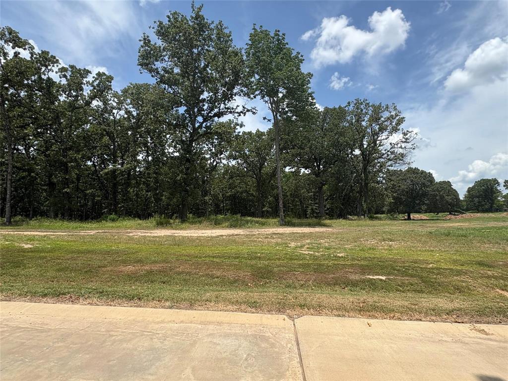 Heavenly Acres - Land